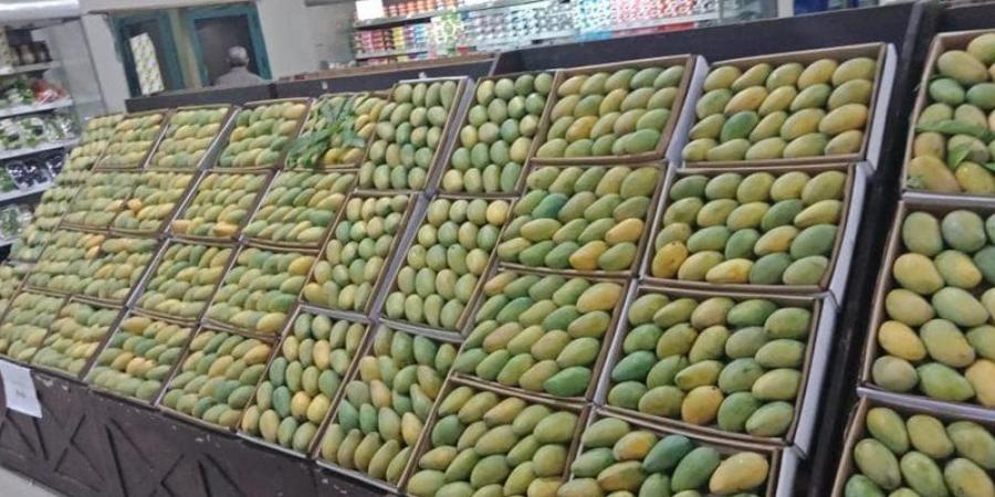استكتروها علينا، ارتفاع يصل إلى 27 جنيها في أسعار المانجو اليوم بالأسواق - المدينة برس