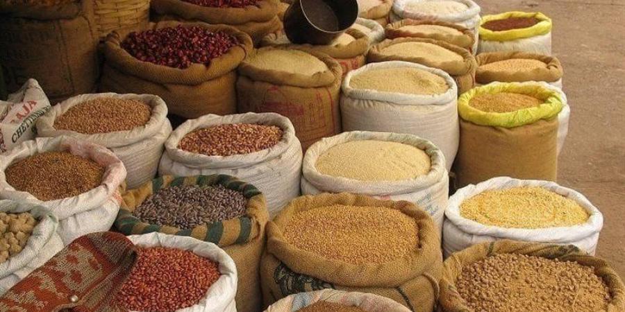 انخفاض الذرة والصويا، أسعار الأعلاف والحبوب اليوم في الأسواق - المدينة برس