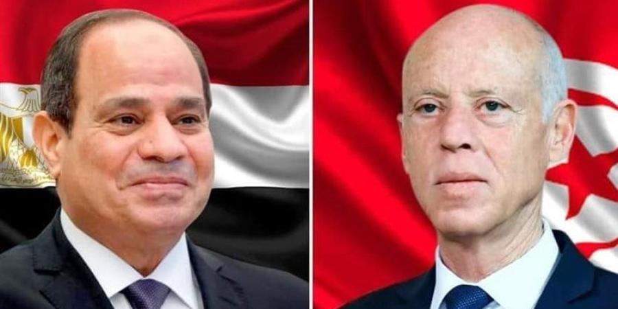 توافق مصري تونسي على تغليب الحلول السياسية وخفض التصعيد ومواجهة التحديات - المدينة برس