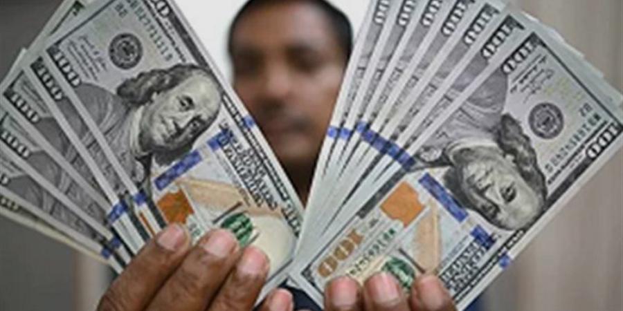 تراجع الدولار أمام الجنيه بالبنوك المصرية (تحديث لحظى) - المدينة برس