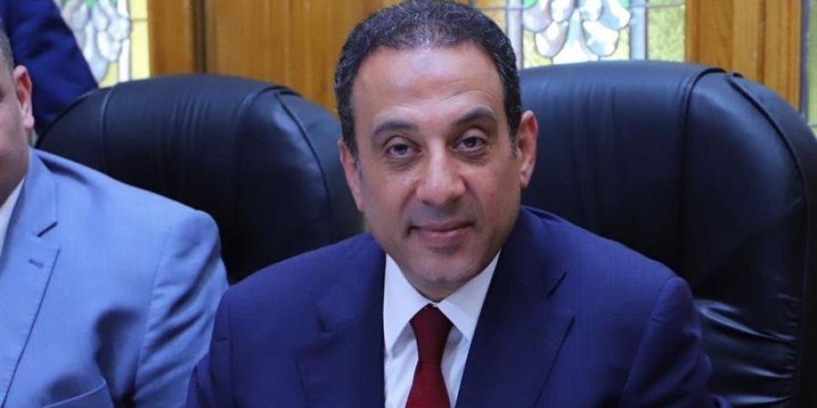 عمر هريدي: الإساءة لأبناء الصعيد لن تمر دون حساب، ونطالب بمحاكمة صاحبة الفيديو - المدينة برس