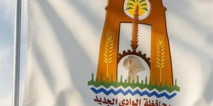 28 وظيفة هندسية لدعم الوحدات المحلية بالوادي الجديد لسد احتياجاتها - المدينة برس