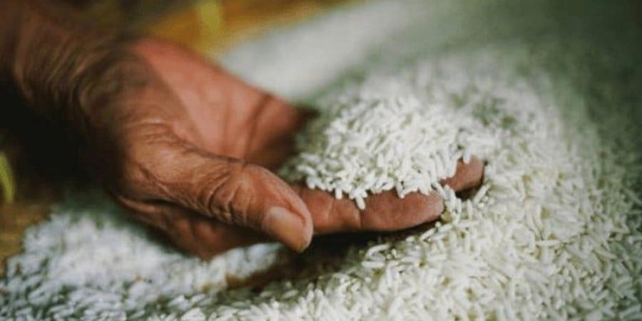 الأرز المصري يغرق السوق المغربية - بوابة المدينة برس