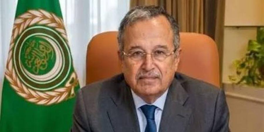 أوضاع عربية مقلقة ومتوترة، تفاصيل اتصال هاتفي بين نبيل فهمي ووزير الخارجية اللبناني - المدينة برس