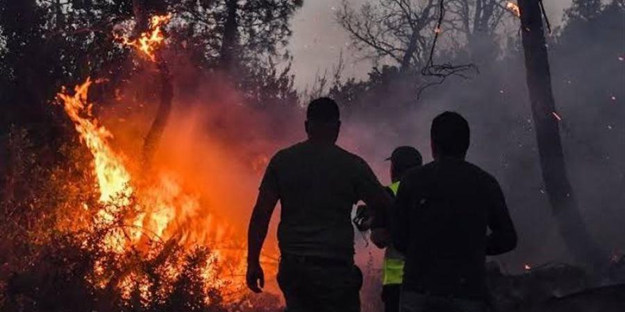 خفر السواحل اليوناني ينقذ 29 شخصا ألقوا بأنفسهم في البحر هربا من حرائق الغابات (فيديو) - المدينة برس