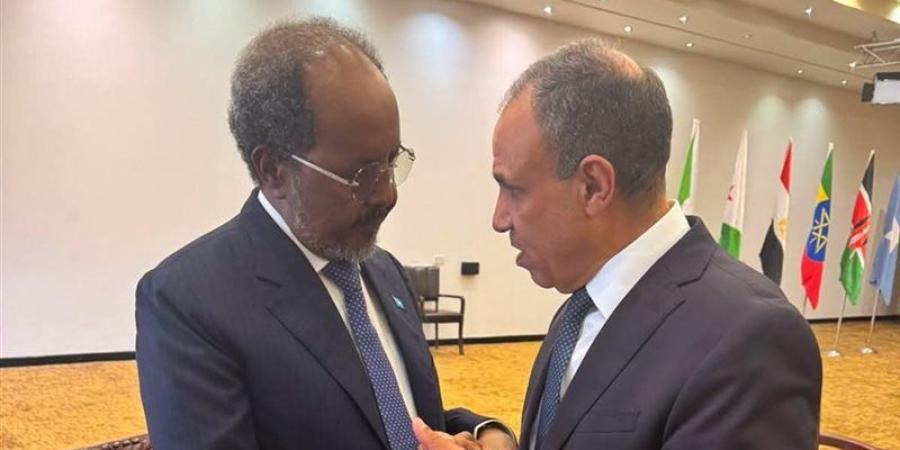 وزير الخارجية يلتقي الرئيس الصومالي - المدينة برس