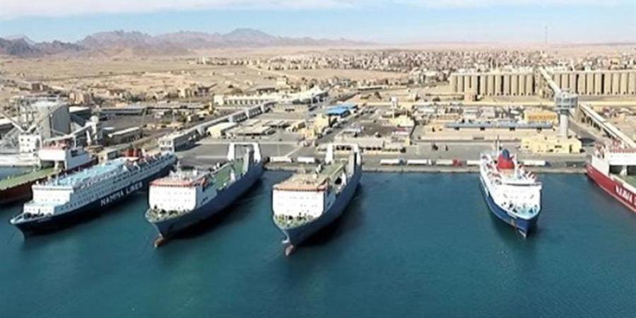 تداول 9 آلاف طن و391 شاحنة بضائع عامة ومتنوعة بموانئ البحر الأحمر - المدينة برس