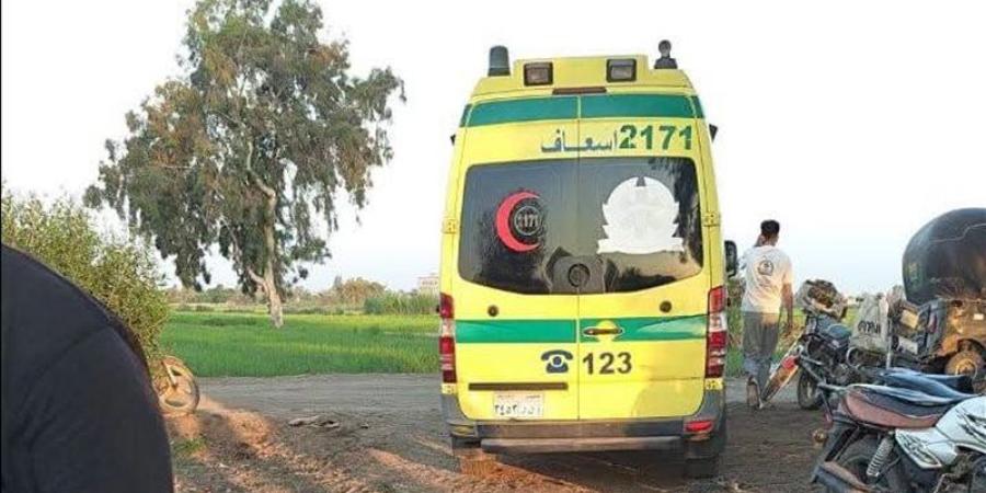 أب يعتدي على زوجته وأطفاله الأربعة بشاكوش في الدقهلية - المدينة برس
