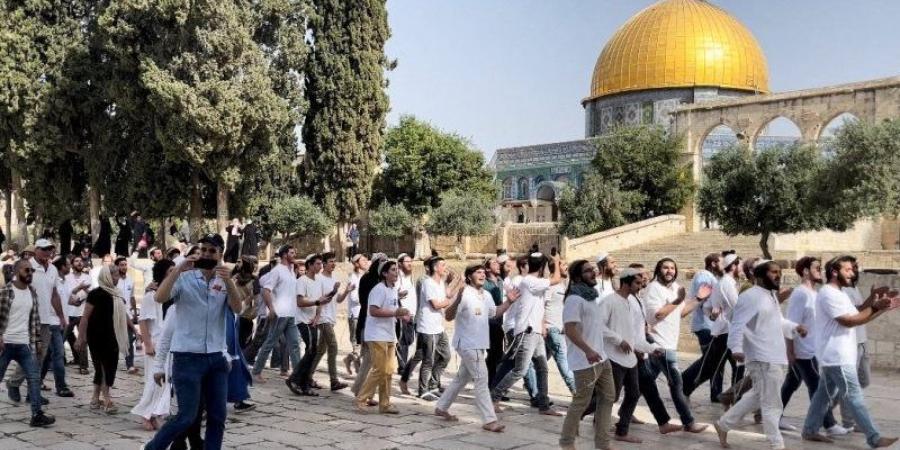 200 حالة اعتقال وقرارات بالإبعاد، تصعيد إسرائيلي يستهدف القدس المحتلة - المدينة برس