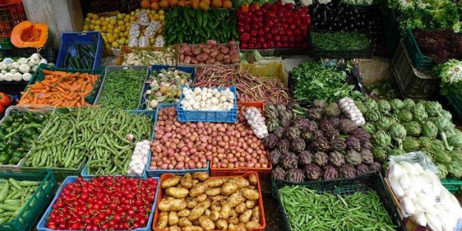 سعر الخضار اليوم، انخفاض الليمون 10 جنيهات وارتفاع 7 أصناف منهم البطاطس - المدينة برس