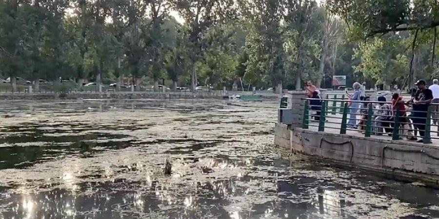 بحيرة مهملة في إفران - بوابة المدينة برس