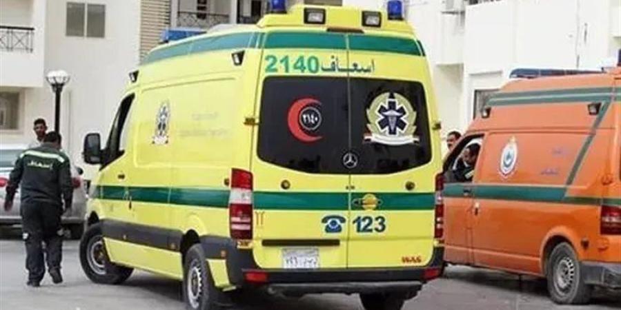 مصرع شخص وإصابة 3 آخرين إثر سقوط سيارة في ترعة بالمنيا - المدينة برس