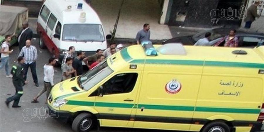 إصابة 12 شخصًا فى انقلاب سيارة ربع نقل بالطريق الصحراوى بأسوان - المدينة برس