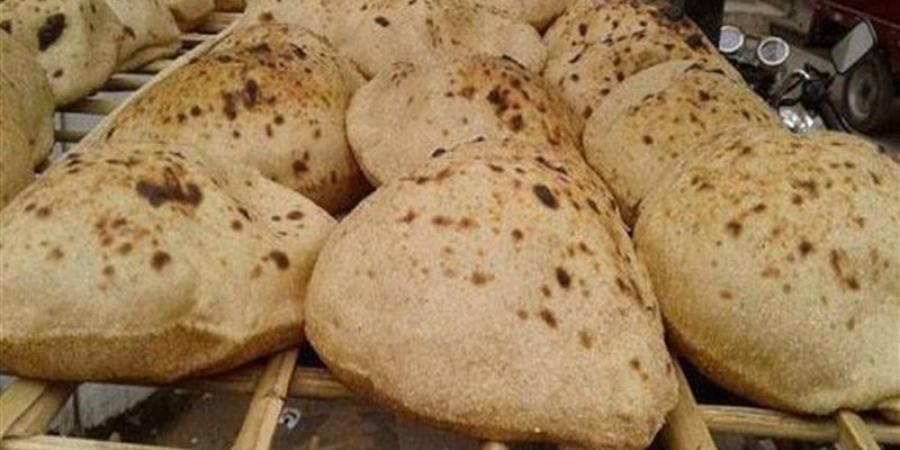 الغلق أو الحبس، التموين تحذر أصحاب المخابز من التلاعب فى سعر ووزن الرغيف (فيديو) - المدينة برس