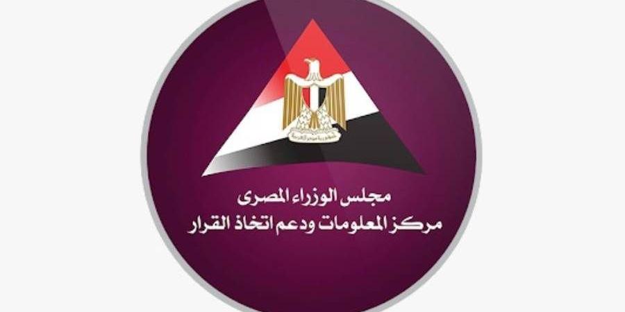 معلومات الوزراء: 9.4 مليارات دولار قيمة متحصلات النقد الأجنبي من خدمات النقل في مصر عام 2024/ 2025 - بوابة المدينة برس