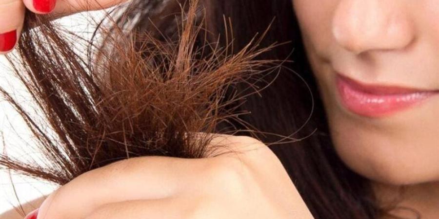 وصفة طبيعية لتنعيم الشعر وعلاج التقصف والهيشان - المدينة برس