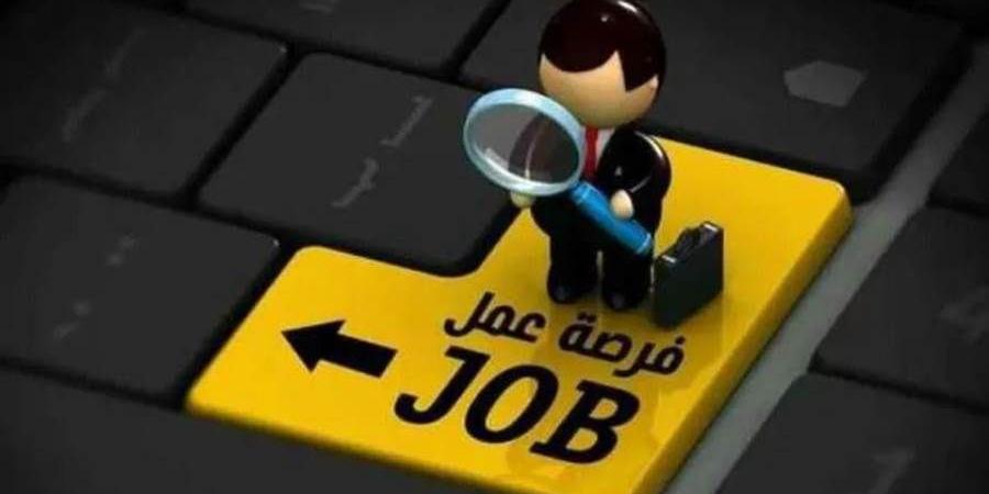 مصرف أبوظبي الإسلامي – مصر يعلن عن فرصتي عمل جديدتين..التفاصيل و كيفية التقديم  - بوابة المدينة برس