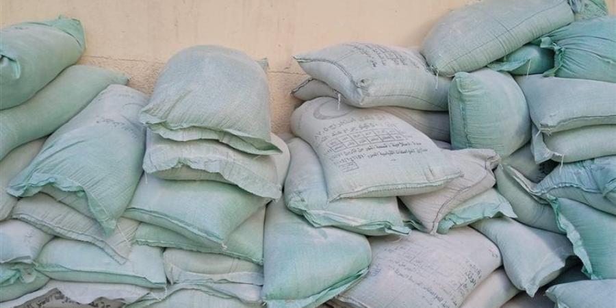 3 ملايين جنيه و24 طن دقيق الحصيلة، ضربة أمنية لتجار العملة ومافيا الخبز المدعم - المدينة برس