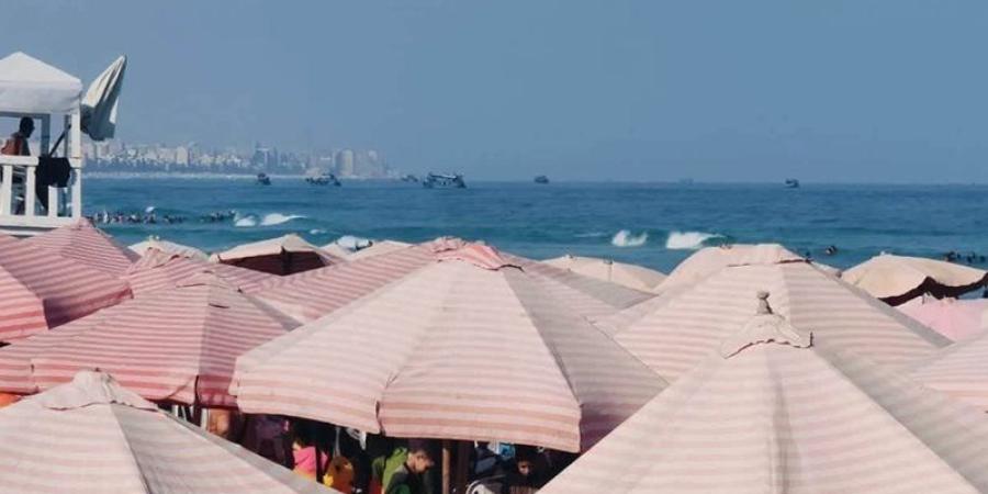 رفع الراية حمراء، منع نزول المصطافين البحر على شواطئ العجمي لارتفاع الأمواج - المدينة برس