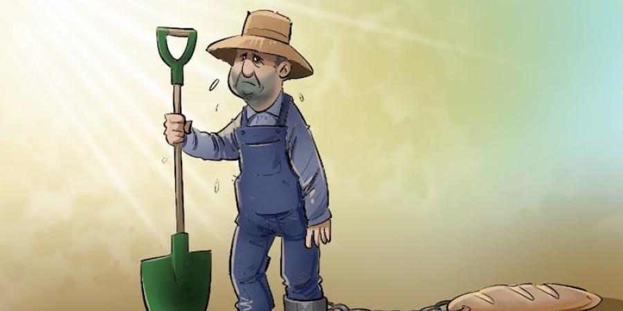 كسرة خبز حارقة - بوابة المدينة برس