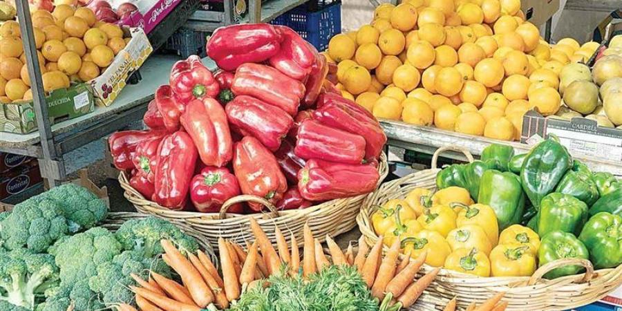 سعر الخضار اليوم الأحد، ارتفاع 4 أصناف منها الخيار وانخفاض كبير في البامية والفاصوليا - المدينة برس