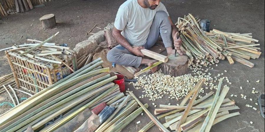 الحكاية مش حكاية منتج، قصة أهالي إمياي بالقليوبية مع أقفاص النخيل والكفاح لعدم اندثارها (فيديو) - المدينة برس