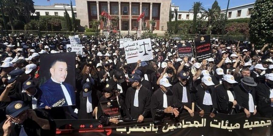 "قانون المحاماة" أمام فرصة جديدة للفحص الدستوري بعد إصلاح "خلل الإحالة" - بوابة المدينة برس