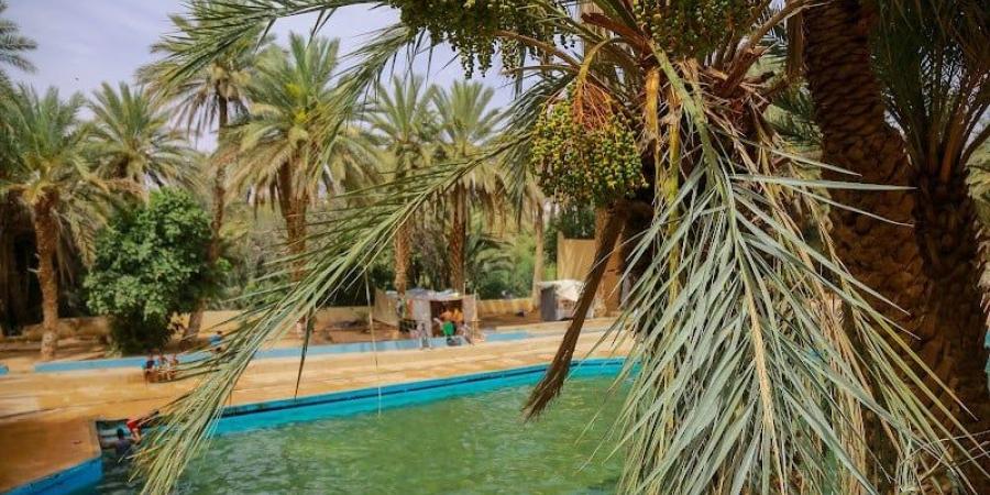 زخات ورياح وحر في مناطق بالمملكة - بوابة المدينة برس
