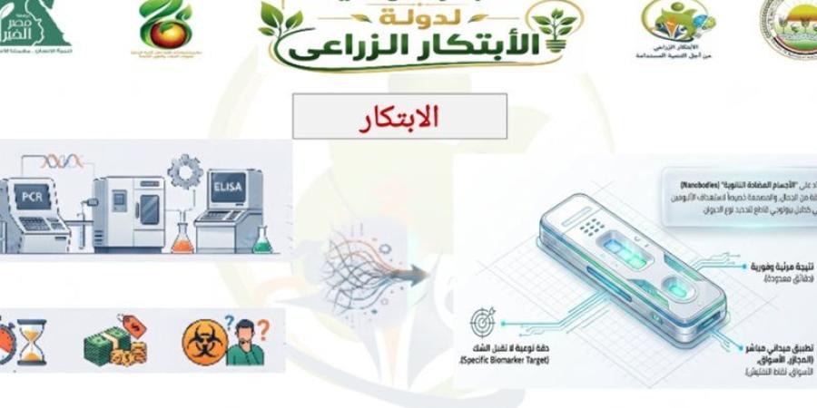 من المختبر إلى يد المفتش والسوق، مشروع بحثي مصري يطور اختبارا سريعا للكشف عن غش اللحوم بالأجسام المضادة النانوية (Nanobodies) ضمن مسابقة الابتكار الزراعي 2026 - المدينة برس