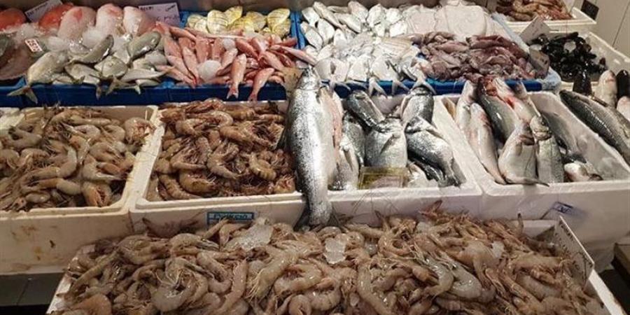 أسعار السمك اليوم، البلطي يتهاوى إلى 63 جنيها وارتفاع قشر البياض والجمبري - المدينة برس