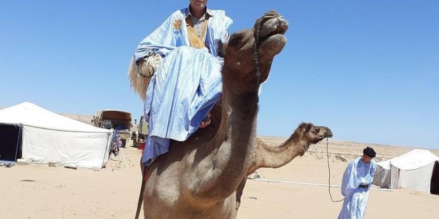 محمد أجغاغ يجرب القريض الحساني - بوابة المدينة برس