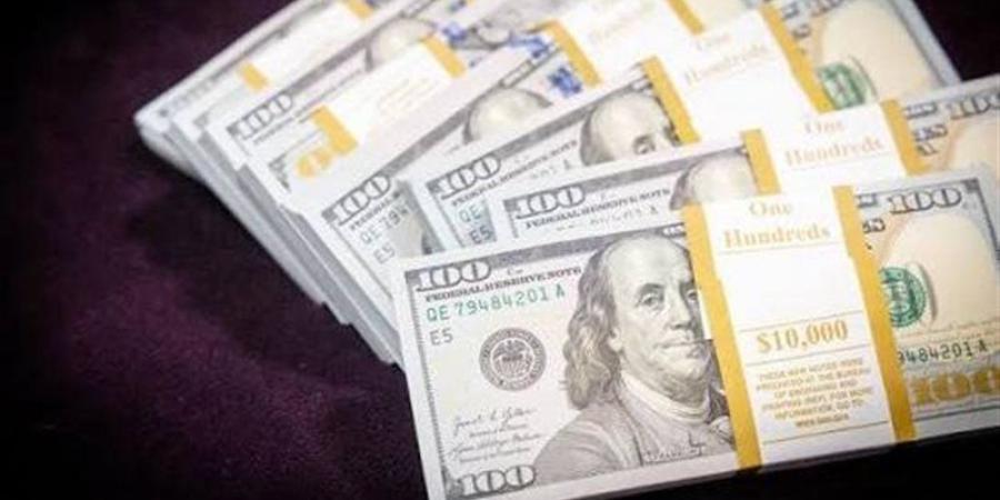 تراجع سعر صرف الدولار في البنوك المصرية (آخر تحديث) - المدينة برس