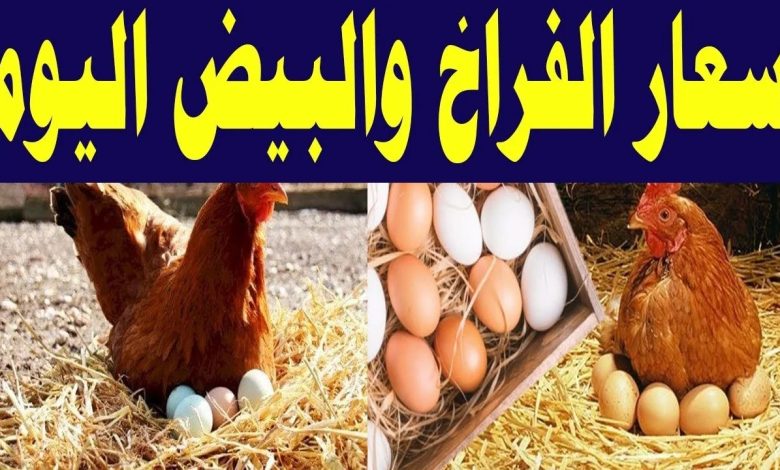 أسعار الدواجن والبيض
