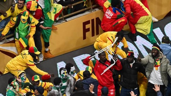 مطالبات بحبس 18 مشجعًا سنغاليًا بعد أحداث شغب في المغرب