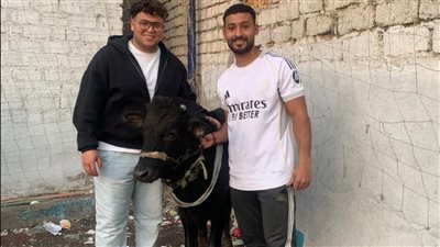 بقرة جائزة أفضل لاعب في دورة نزلة الشوبك الرمضانية بالجيزة