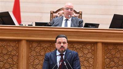 النائب محمد مجاهد يفجر مفاجأة بشأن تشريعات كرة القدم الجديدة