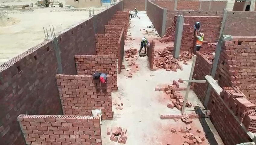 إنشاء أول مأوى علمي للكلاب الضالة بالتبين (1)