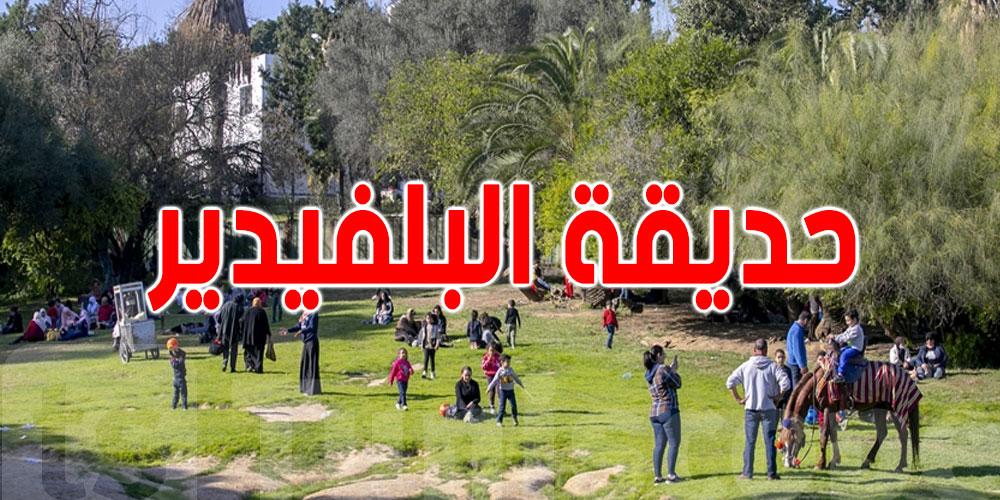 عاجل: قريبًا.. شراء تذاكر حديقة الحيوانات بالبلفدير عبر تطبيقة إلكترونية 