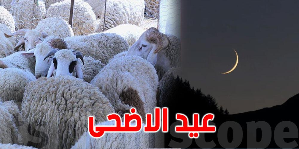 عاجل: الفلك الدولي يكشف موعد عيد الأضحى 2026 وتفاصيل رؤية هلال ذي الحجة 