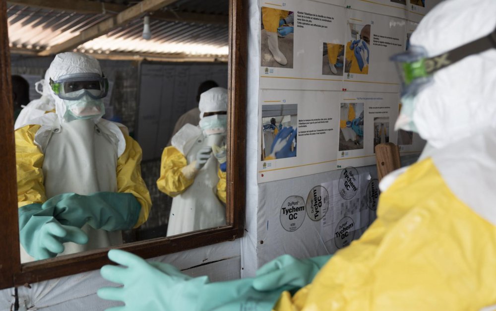  Ebola - Ảnh 1.