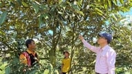 رأس المال القائم على السياسات في هضبة تشو سي - المقال الأخير: ضمان عدم افتقار الفقراء إلى رأس المال