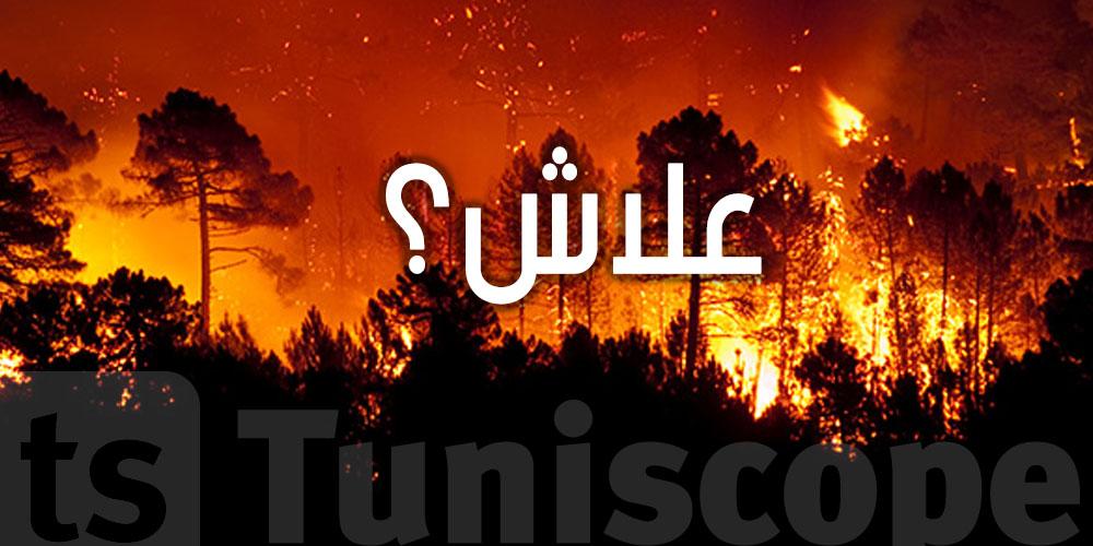 عاجل: حريق في عين دراهم...شفما؟